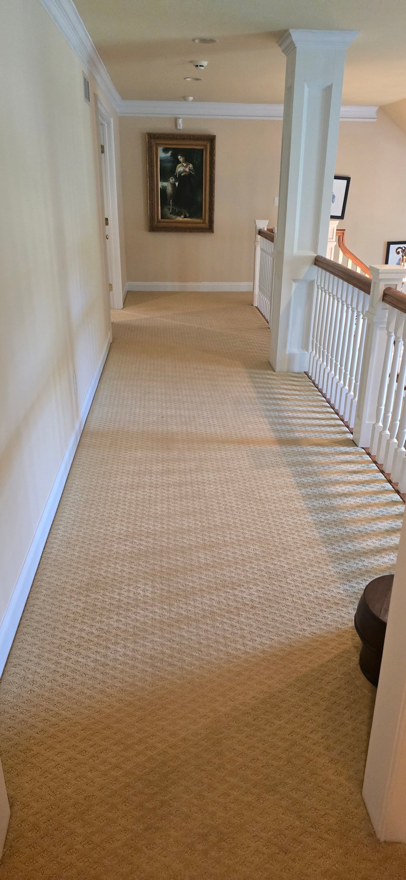 Carpeted upstairs hallway with cream walls, white railing, and a framed painting at the far end.