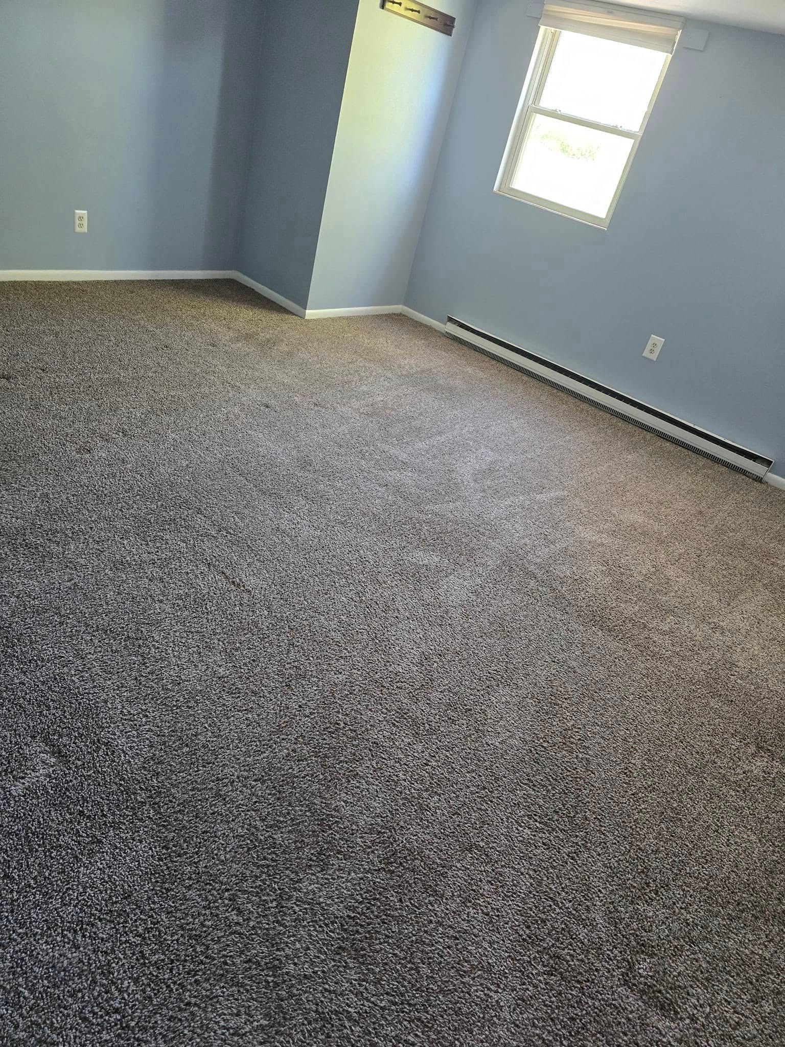Empty carpeted room with blue walls, a window, and baseboard heater.