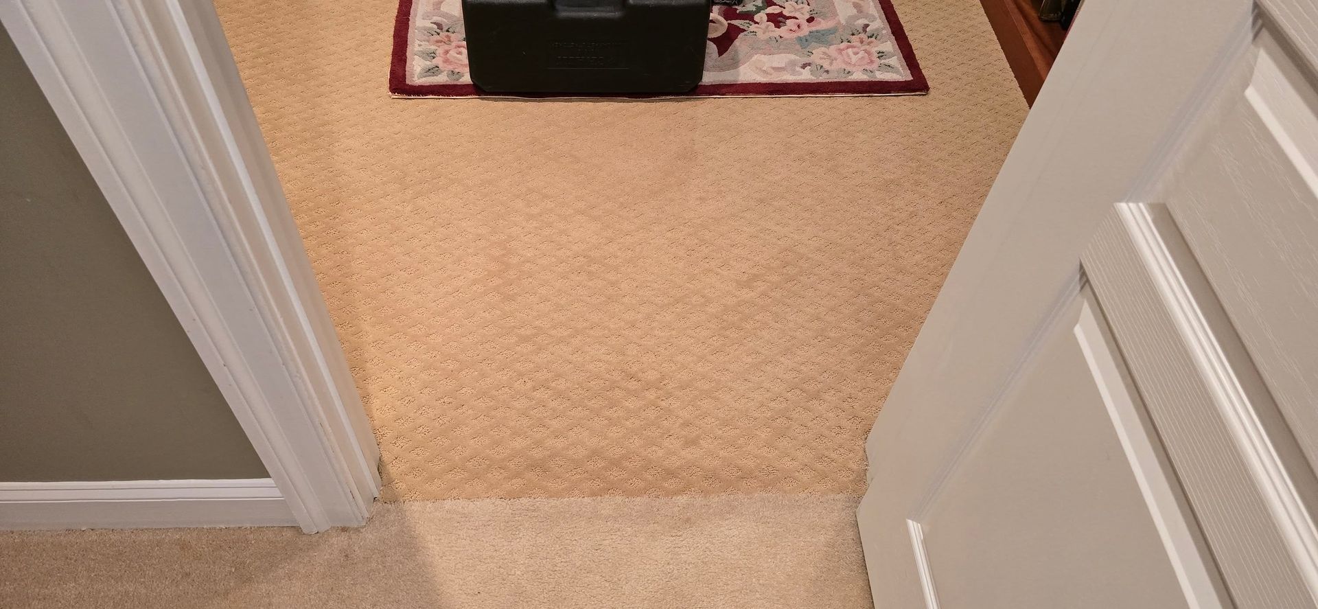 Open doorway to a beige carpeted room with white doors and a small rug in the background