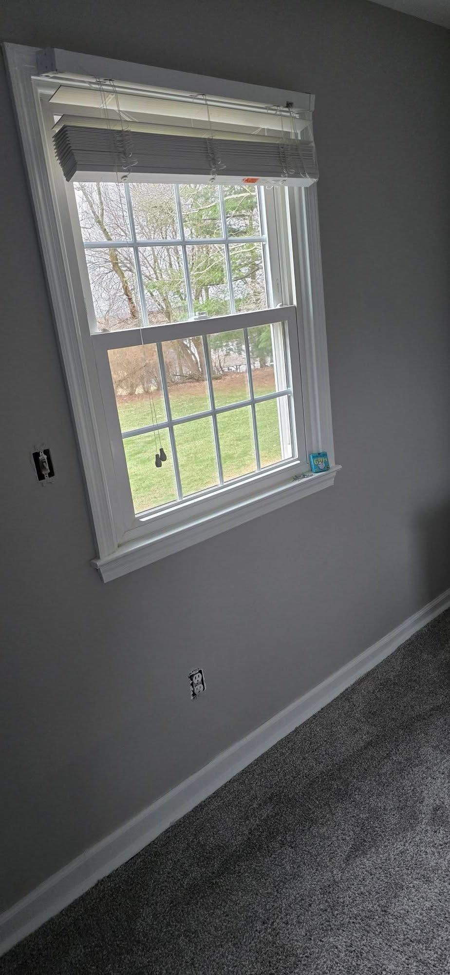 Empty gray room with a window, white blinds, and carpeted floor.