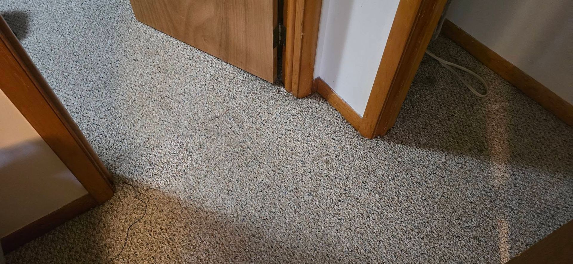 Carpeted hallway corner with wooden door frames and white walls