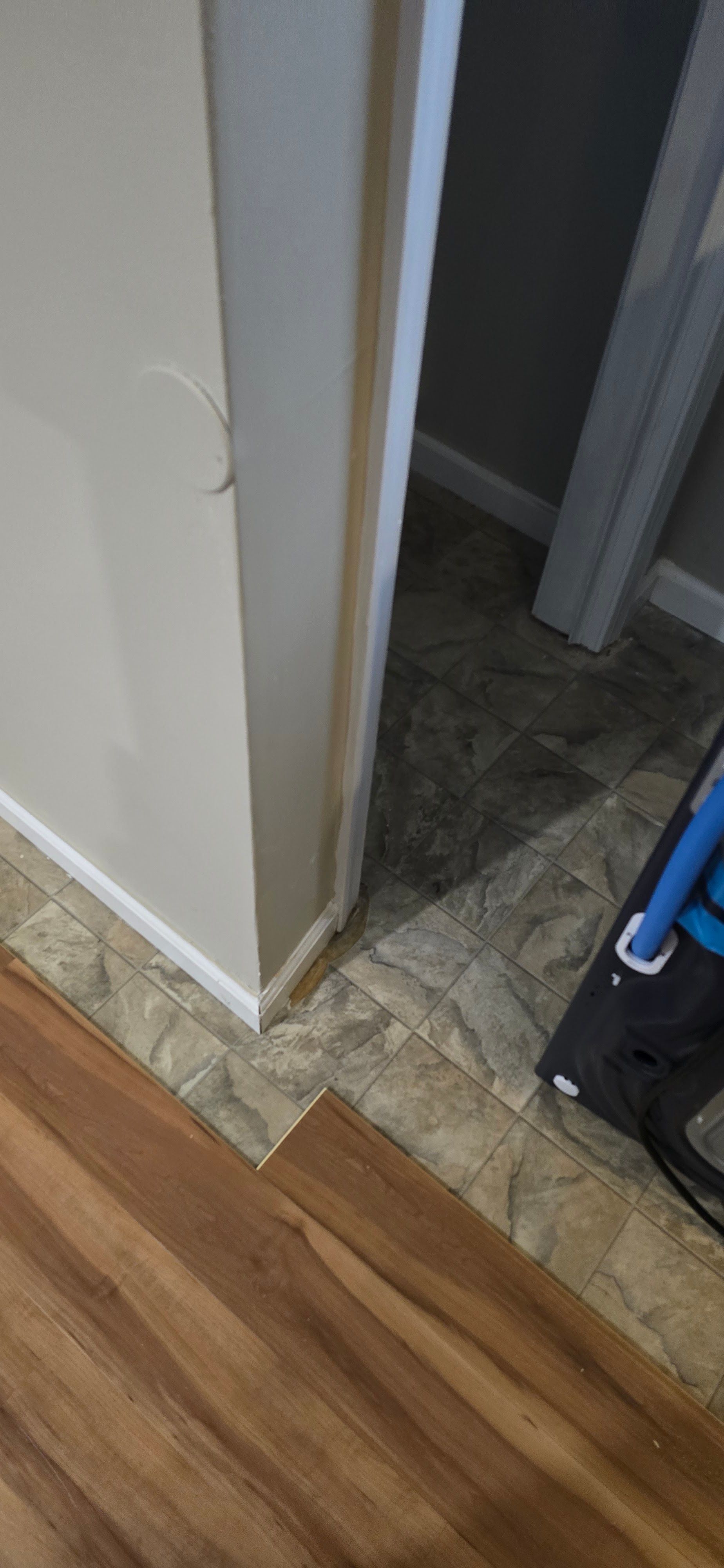 Doorway with chipped white trim between wood flooring and a small tiled room