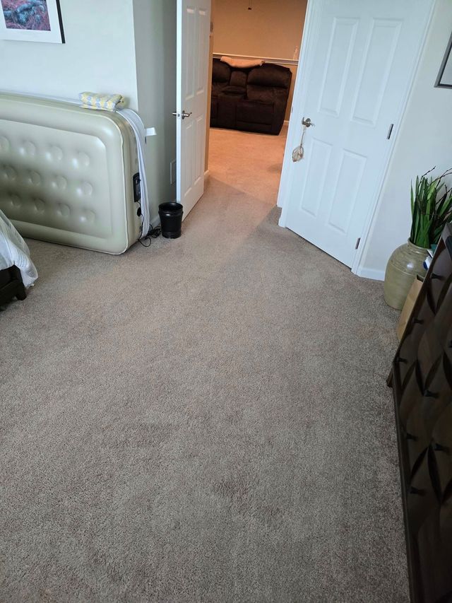 Carpeted bedroom with open door to hallway, upholstered bed frame, and a potted plant by a dresser.
