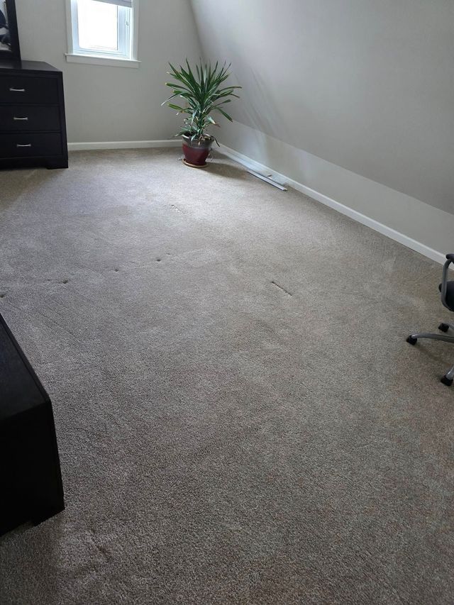Empty carpeted room with gray walls, a potted plant, and a black dresser in the corner