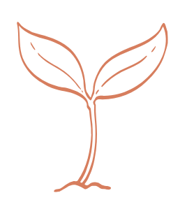 Un dessin d'une petite plante avec deux feuilles poussant hors du sol.