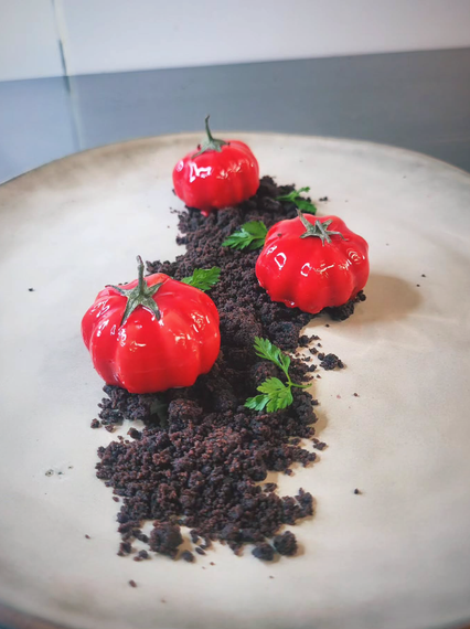Une assiette blanche surmontée de trois tomates rouges sur de la terre.