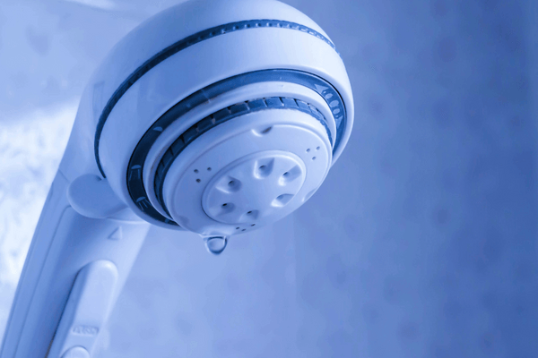 shower head