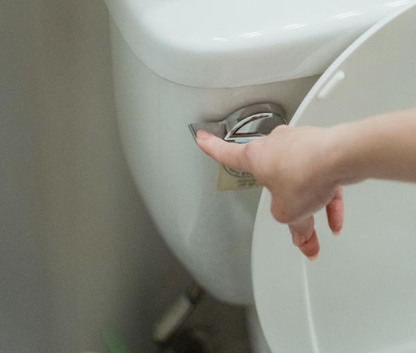 flushing toilet
