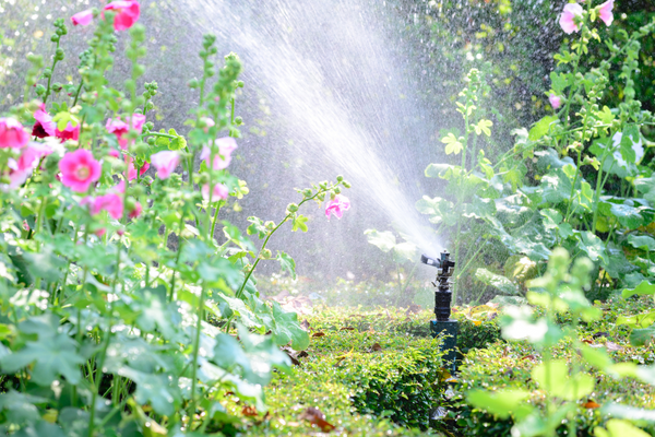 garden sprinklers near the plants