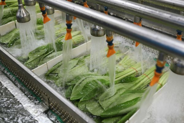 washing vegetables