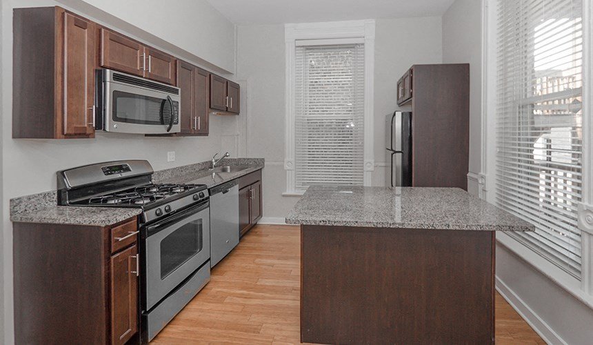 846 W Armitage Apartments Lincoln Park Chicago, IL