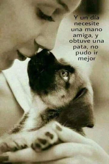 Una mujer besando a un gato en la nariz con una cita en español