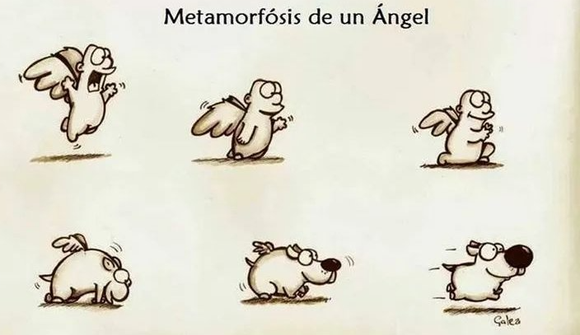Una caricatura de un perro con alas se titula 