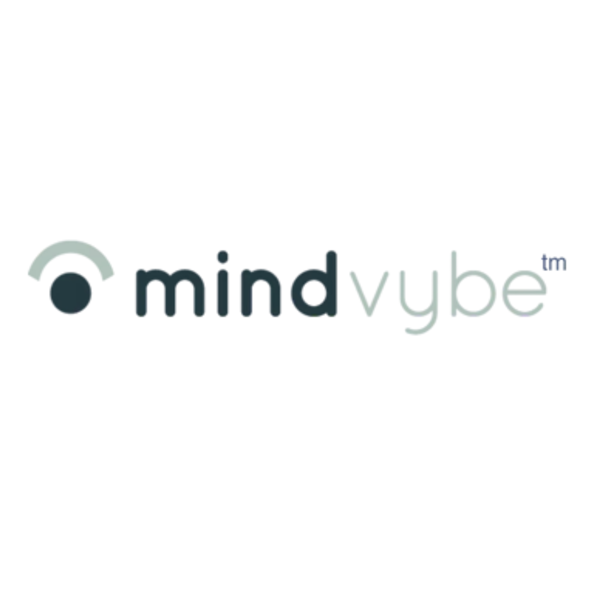 MindVybe logo, MonmouthFlow community partner