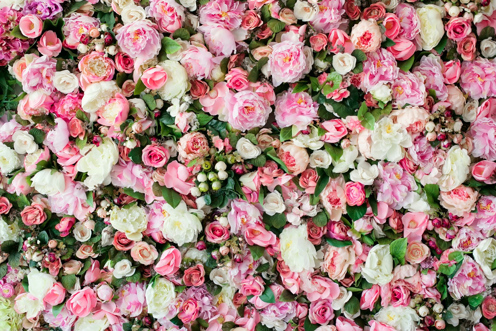 Flower Wall Rentals Project Backdrops