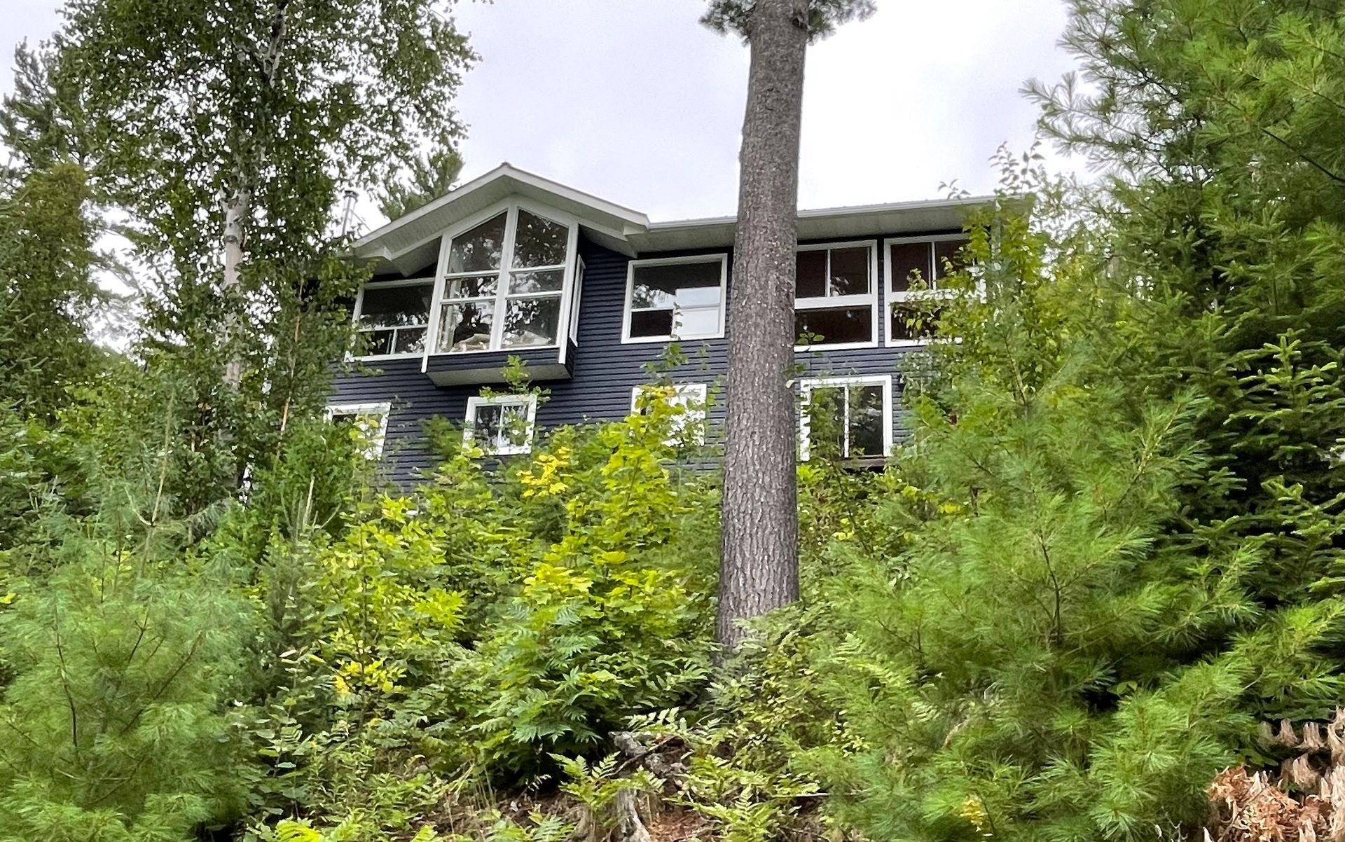 A large house is surrounded by trees and bushes.