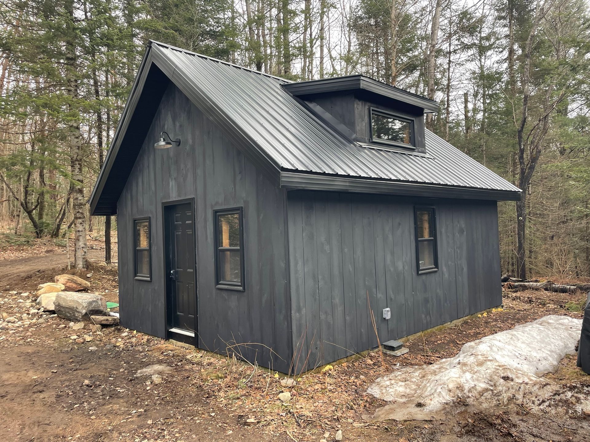 A small black house with a metal roof is in the middle of a forest.
