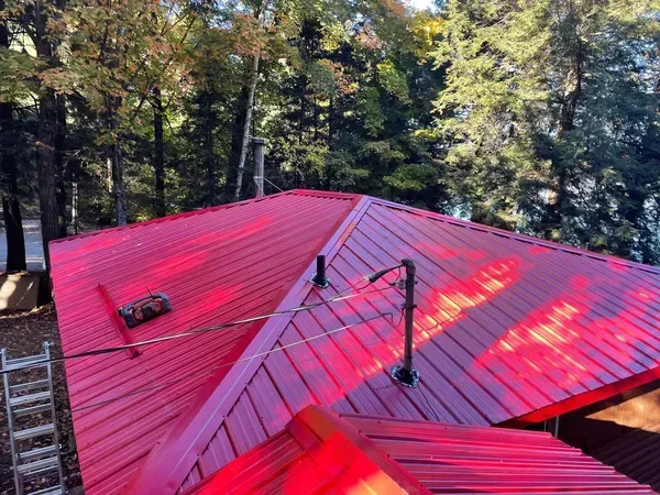 A red roof with a ladder on top of it is surrounded by trees.