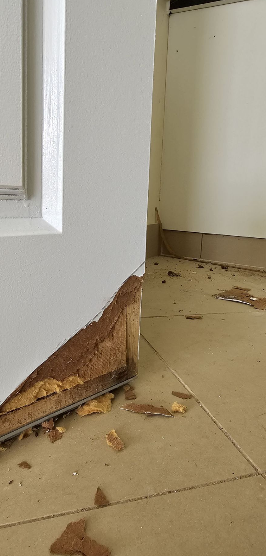 Damaged door frame with visible wood rot and debris on the floor. White door — Prestige Painting NT in Zuccoli, NT