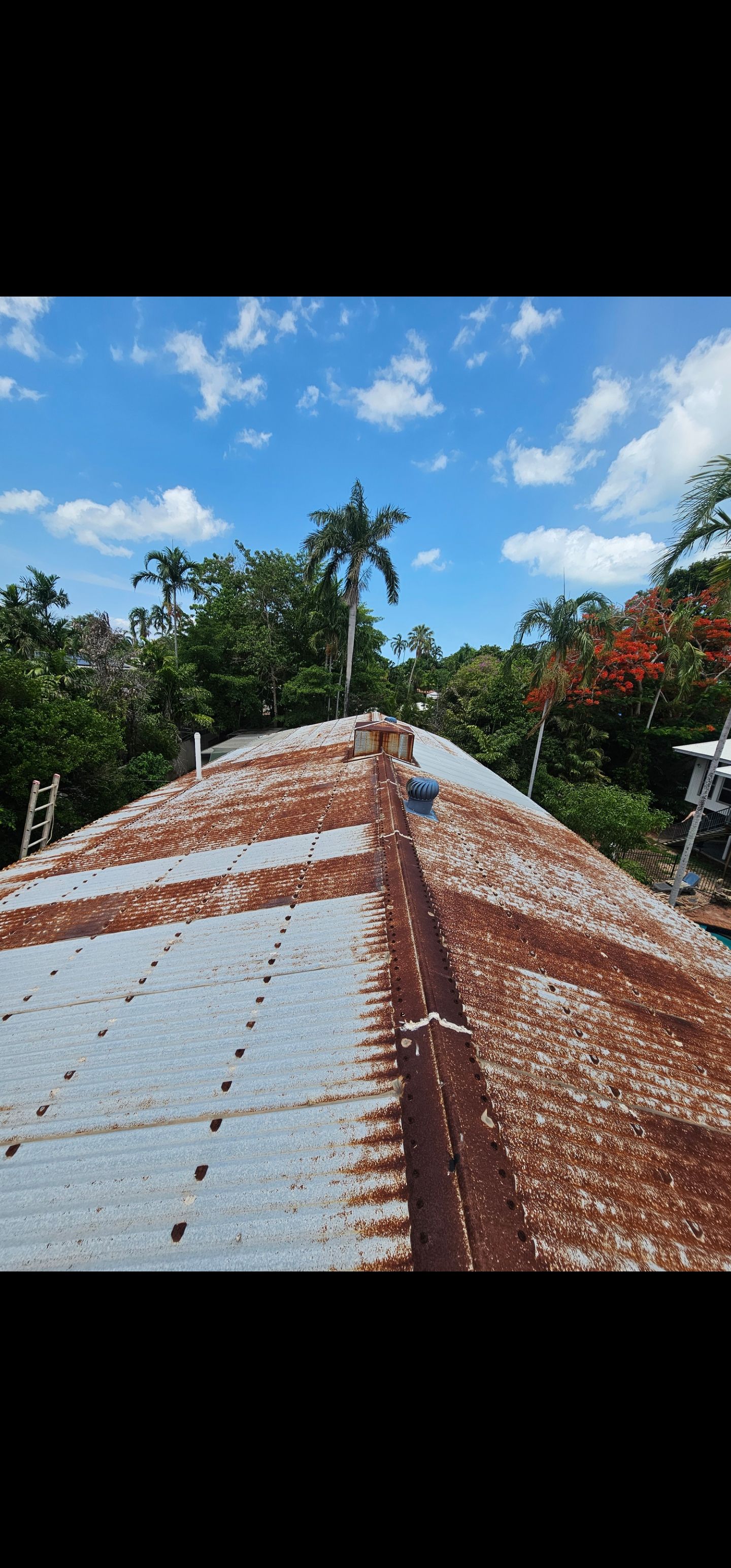 Rusty corrugated metal roof with trees in the background under a blue sky — Prestige Painting NT in Zuccoli, NT