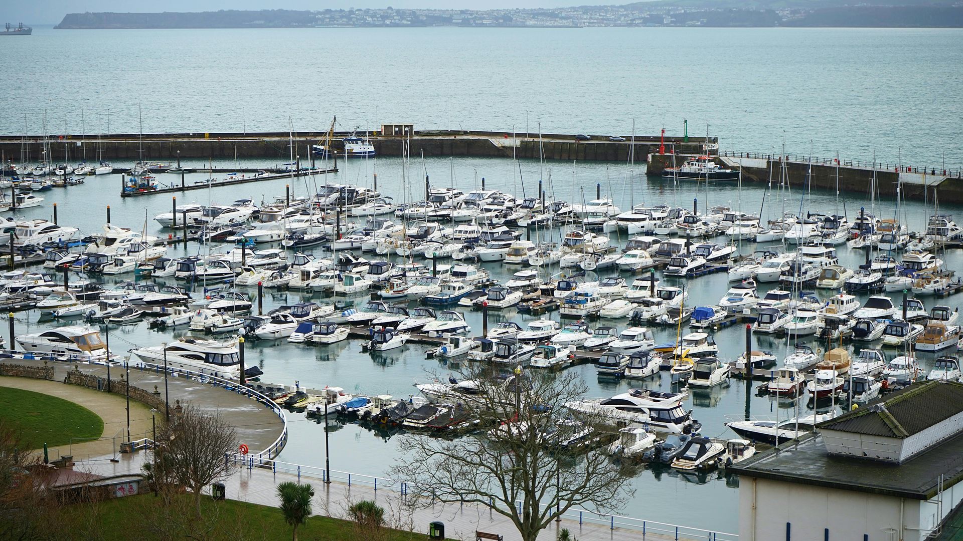 Torquay harbour clash of politics over executive Ann Marie Bond