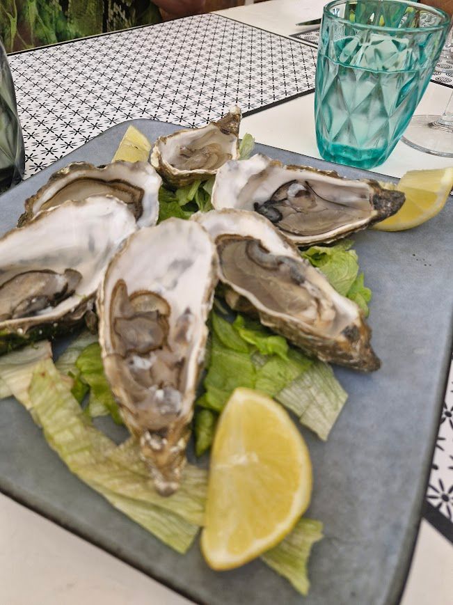 Jakobsmuschel im Beachrestaurant Amore & Friends am Lido Aurora in Peschici