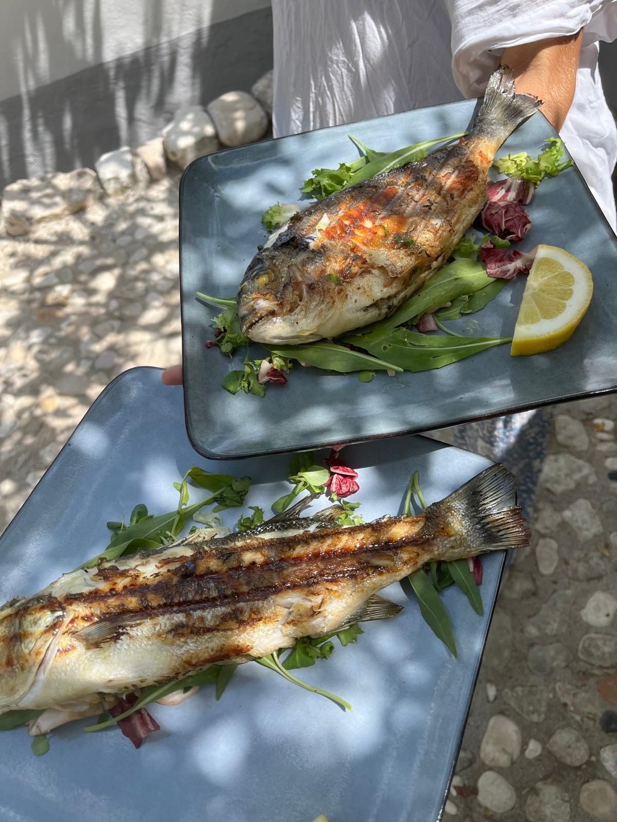 Goldbrasse im Beachrestaurant Amore & Friends am Lido Aurora in Peschici