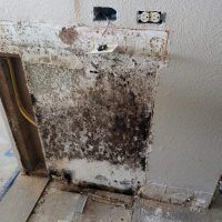 Moldy spots on a white wall surface.