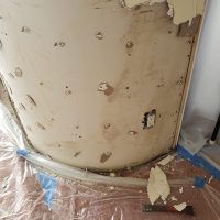 Black mold on a contaminated surface
