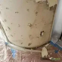 Surface covered in mold growth