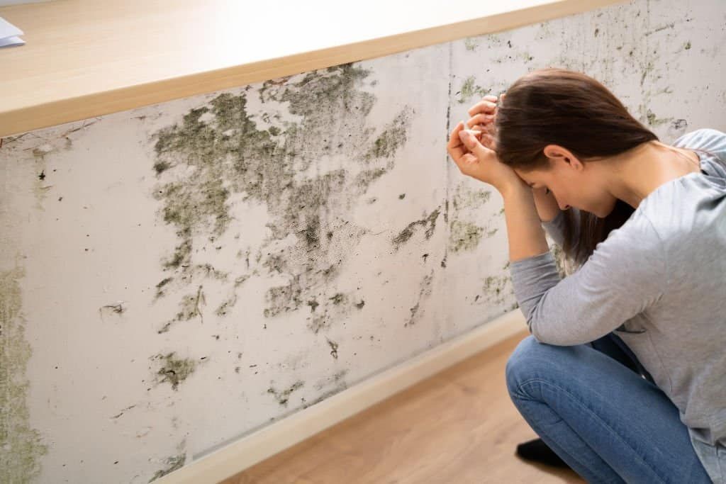 Visible mold on a white interior wall