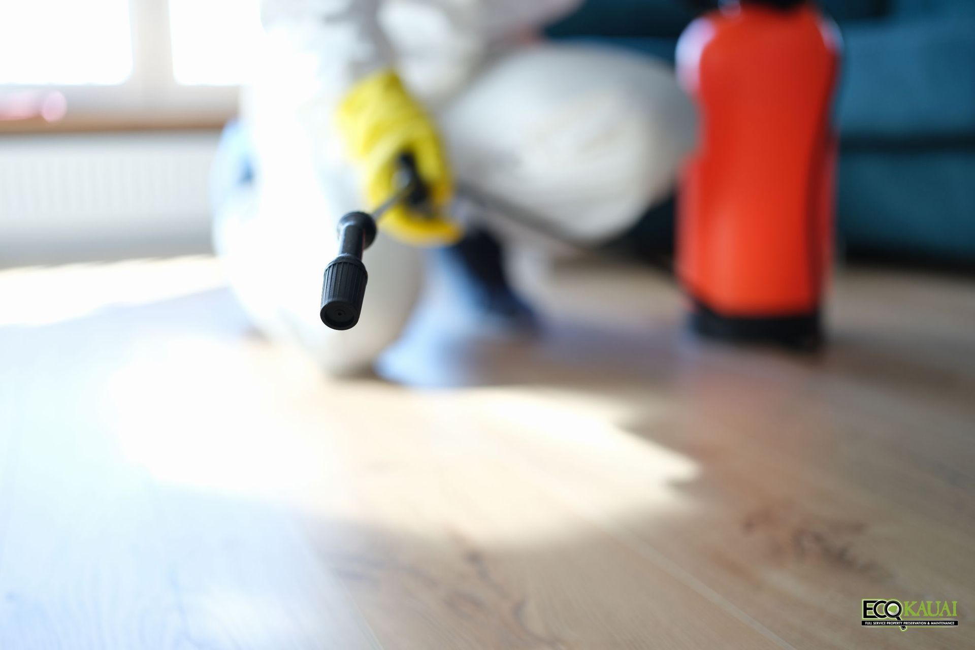 Professional mold treatment on floor by Eco Kauai Services