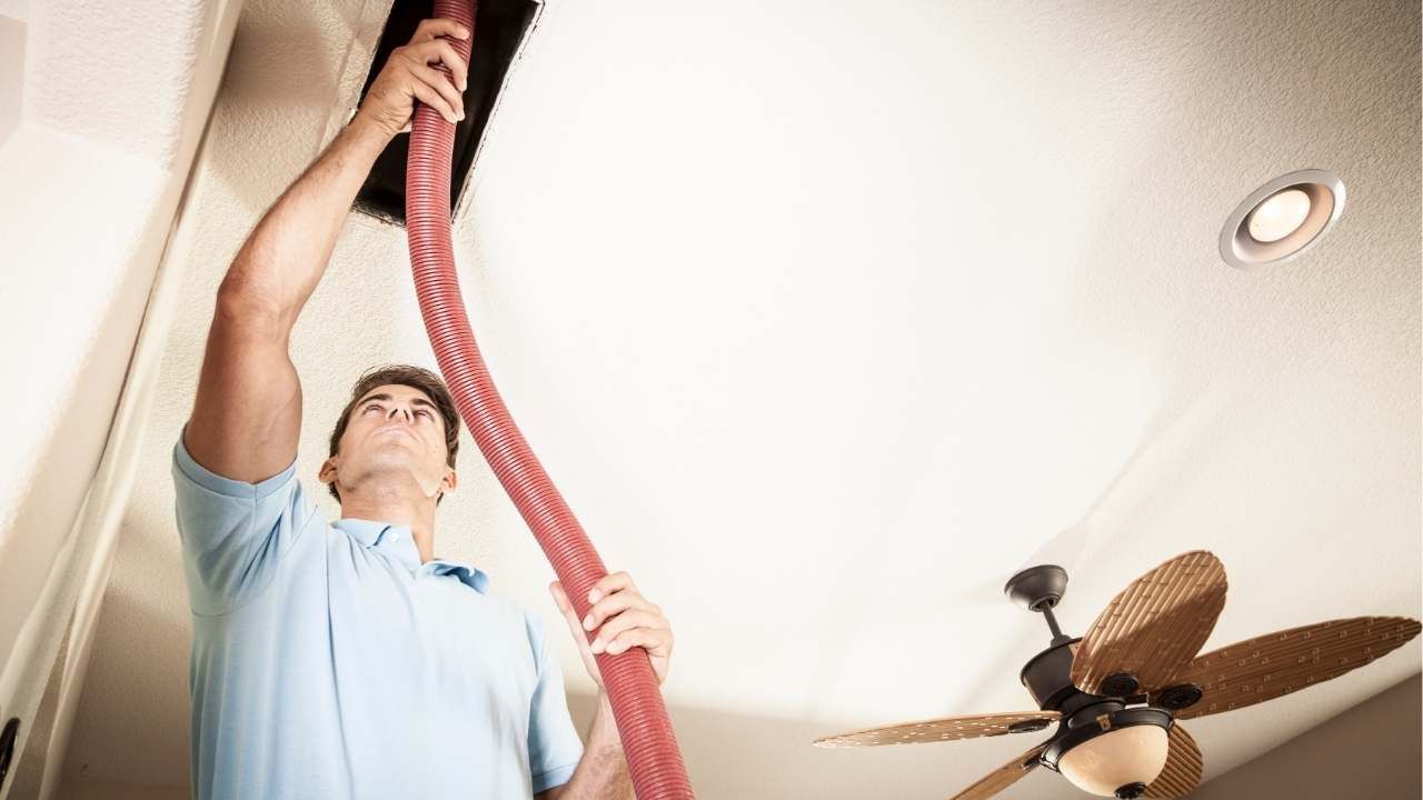 mold in air ducts