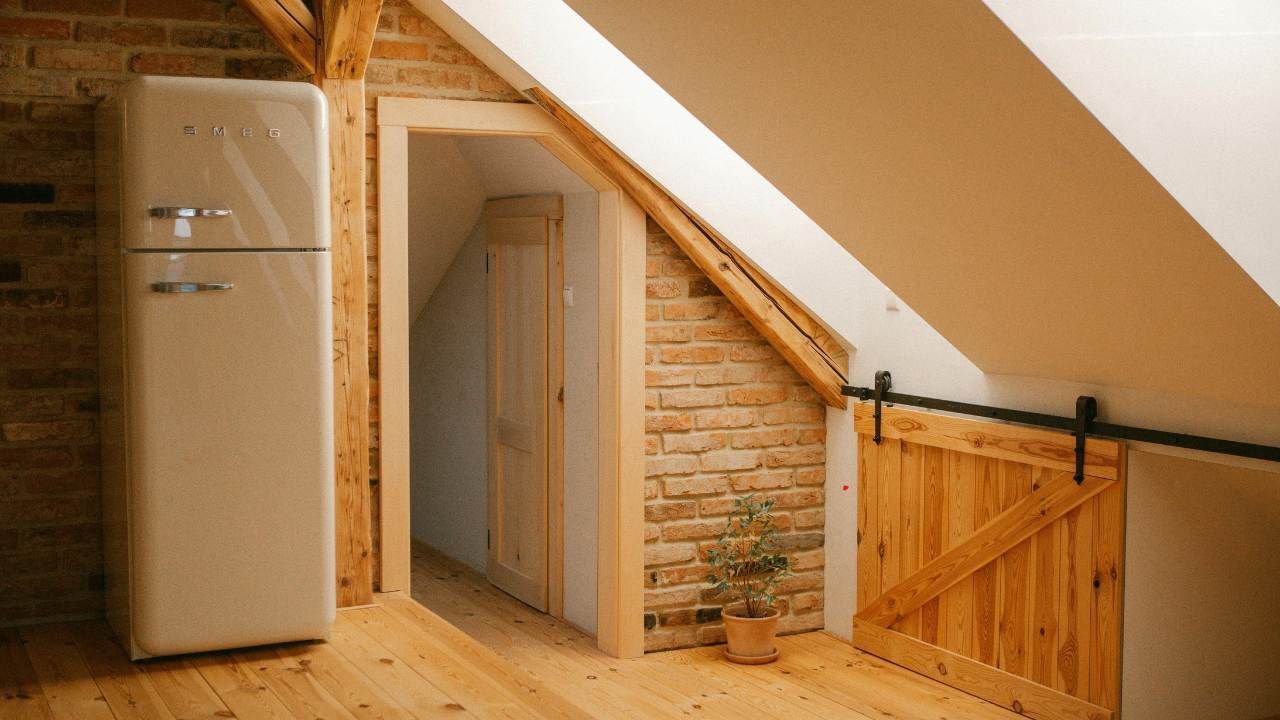attic mold removal