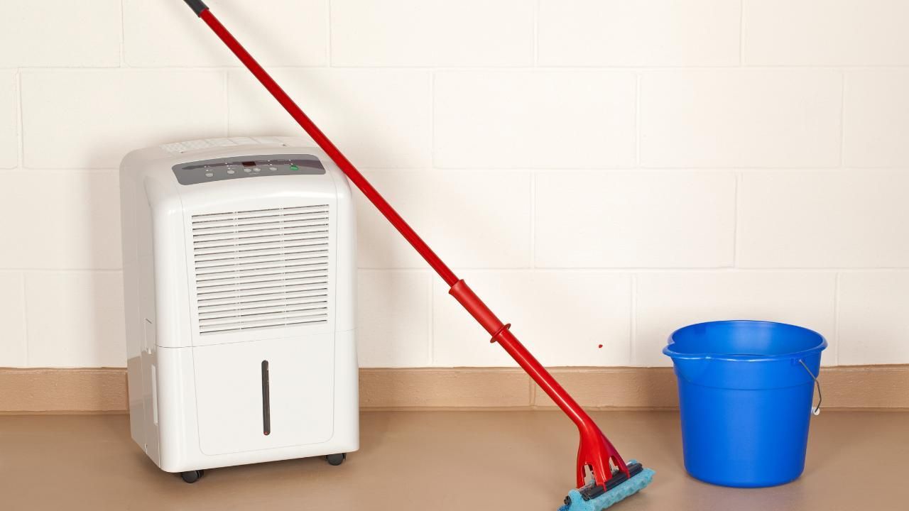water damage recovery