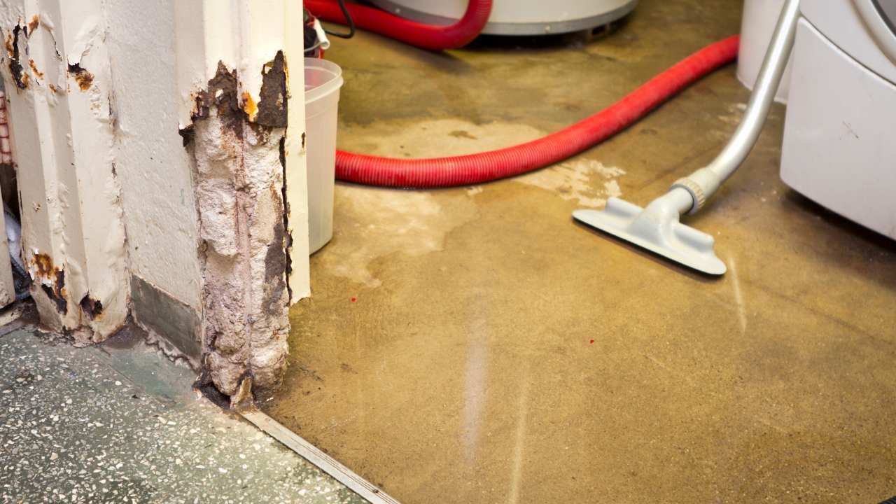 Flood damage cleanup