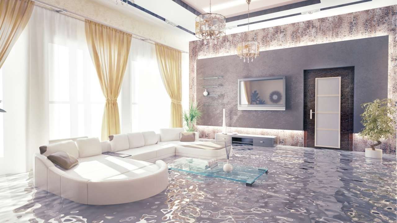 mold growth after flooding