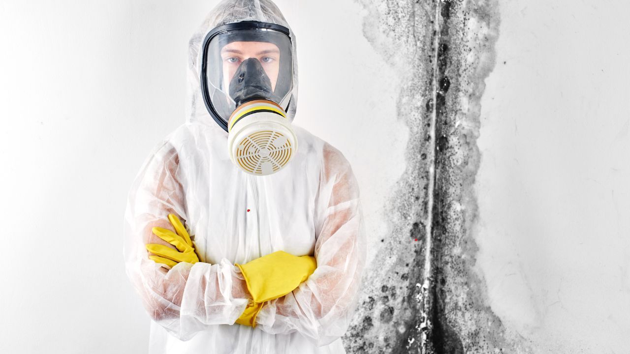Eco Kauai mold services
