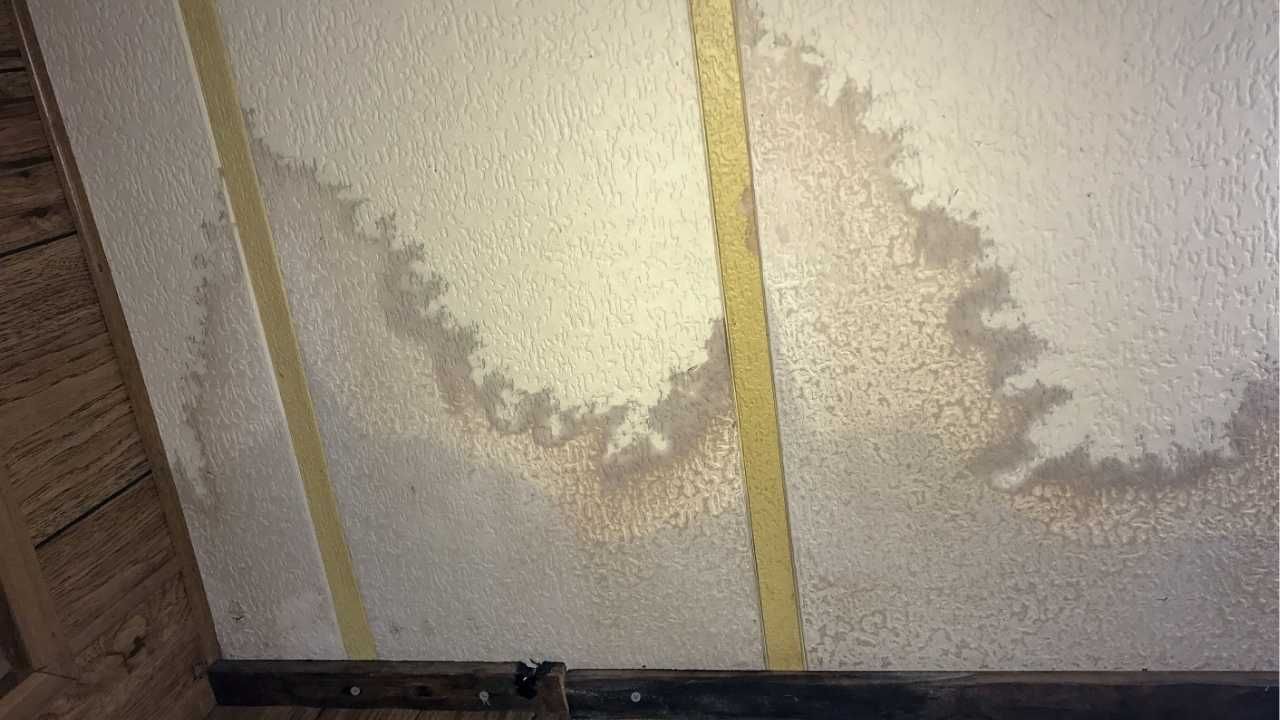 mold growth causes