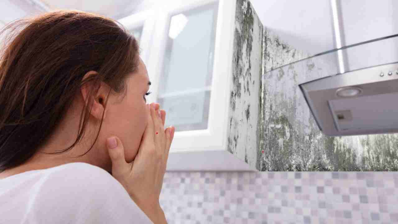 Mold exposure symptoms