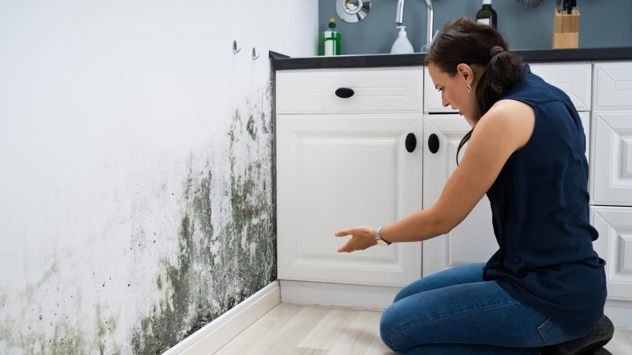 Mold growth Kaua’i homes