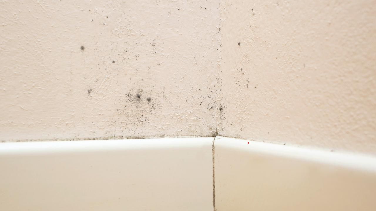 hidden mold