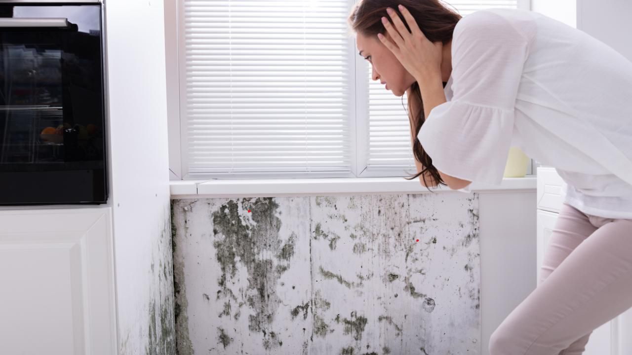 Preventing mold growth