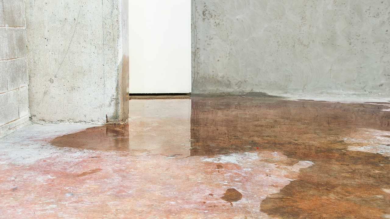 water damage insurance