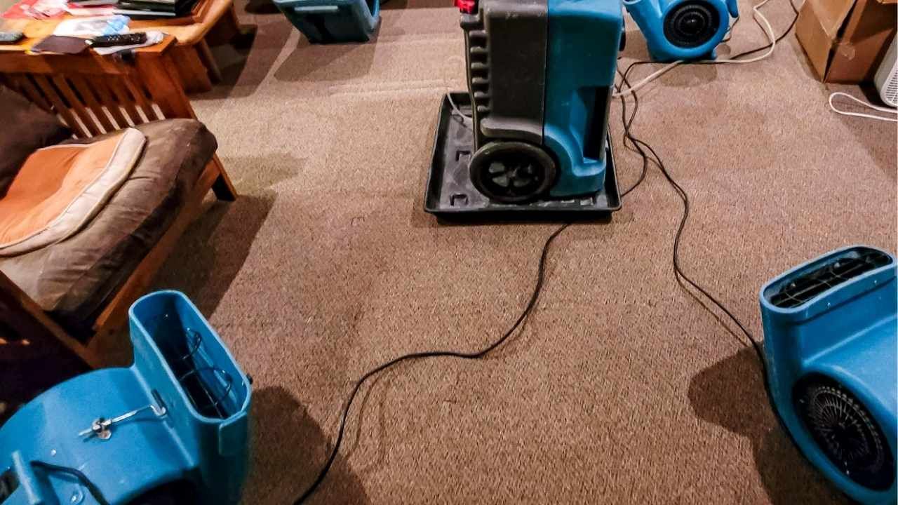 moisture removal