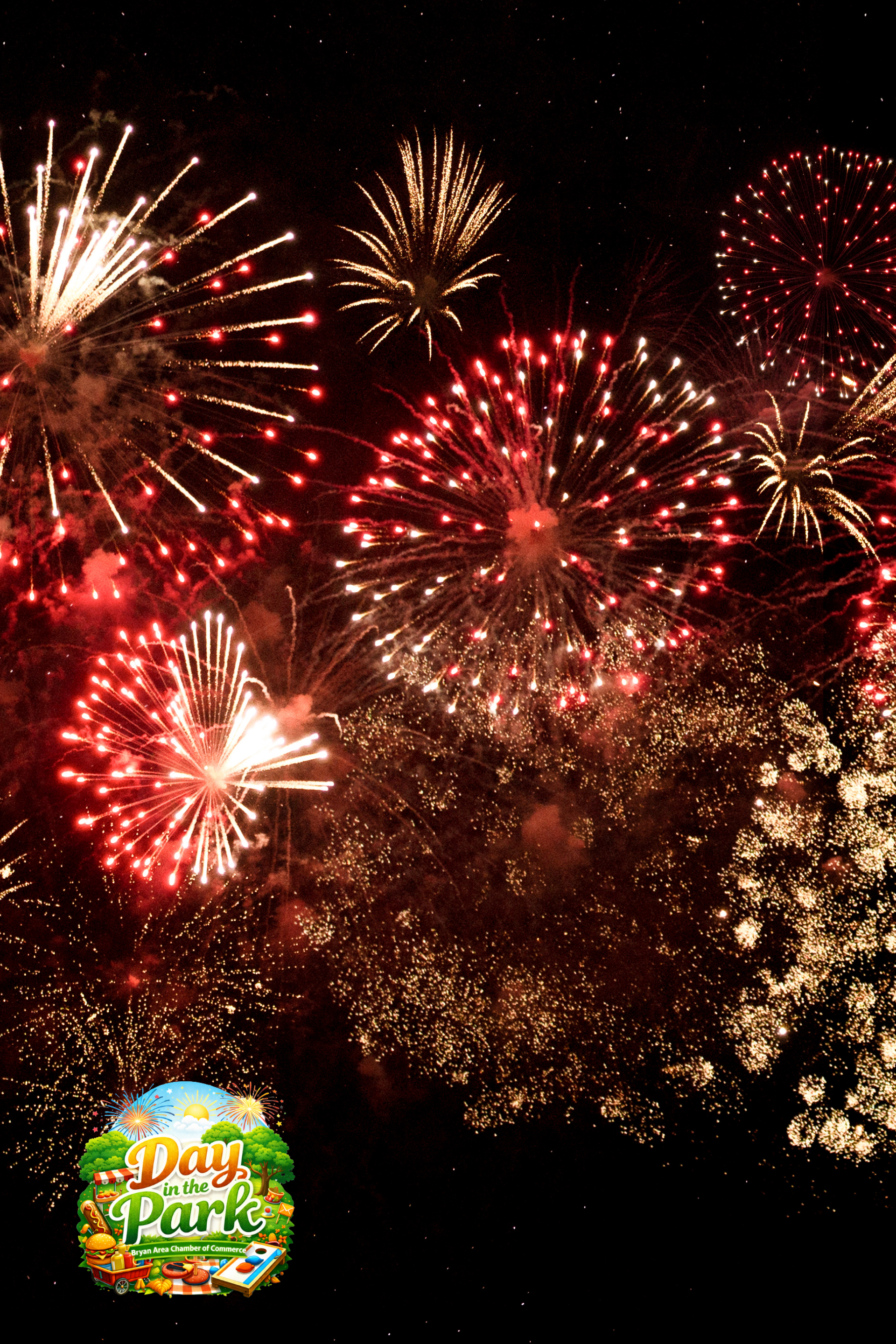 Fireworks picture