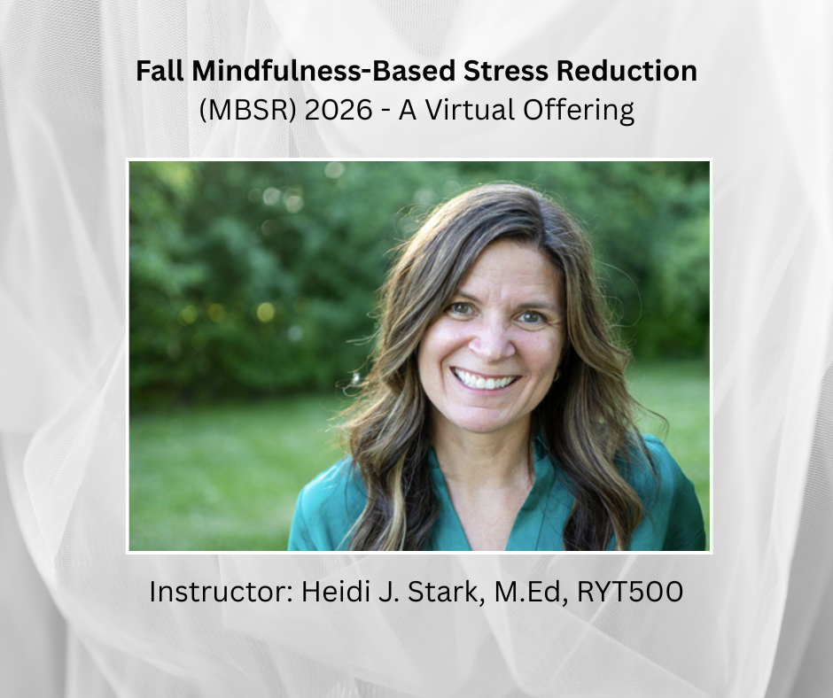 Heidi Stark, Instructor