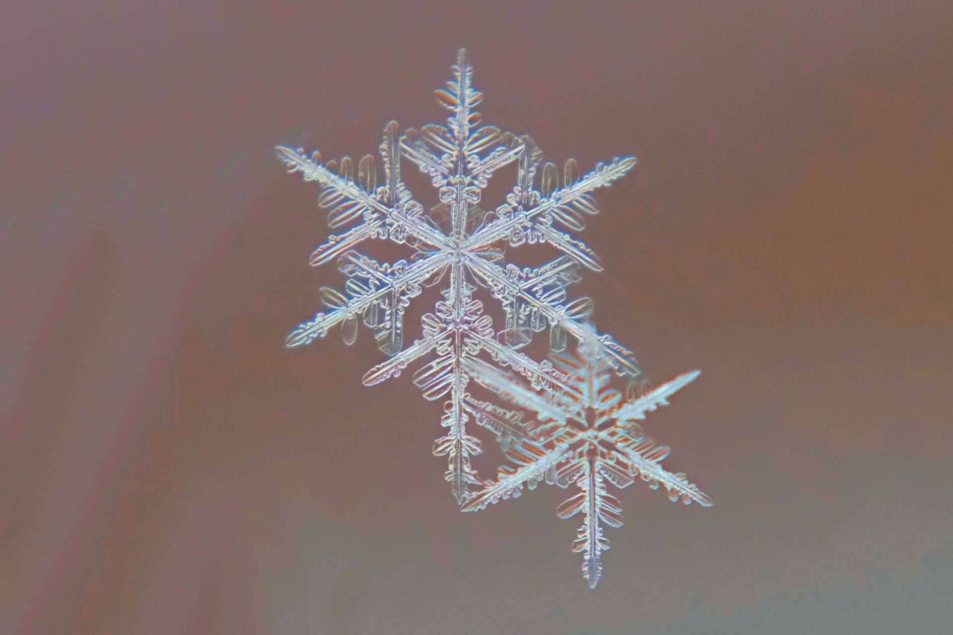 Snowflake