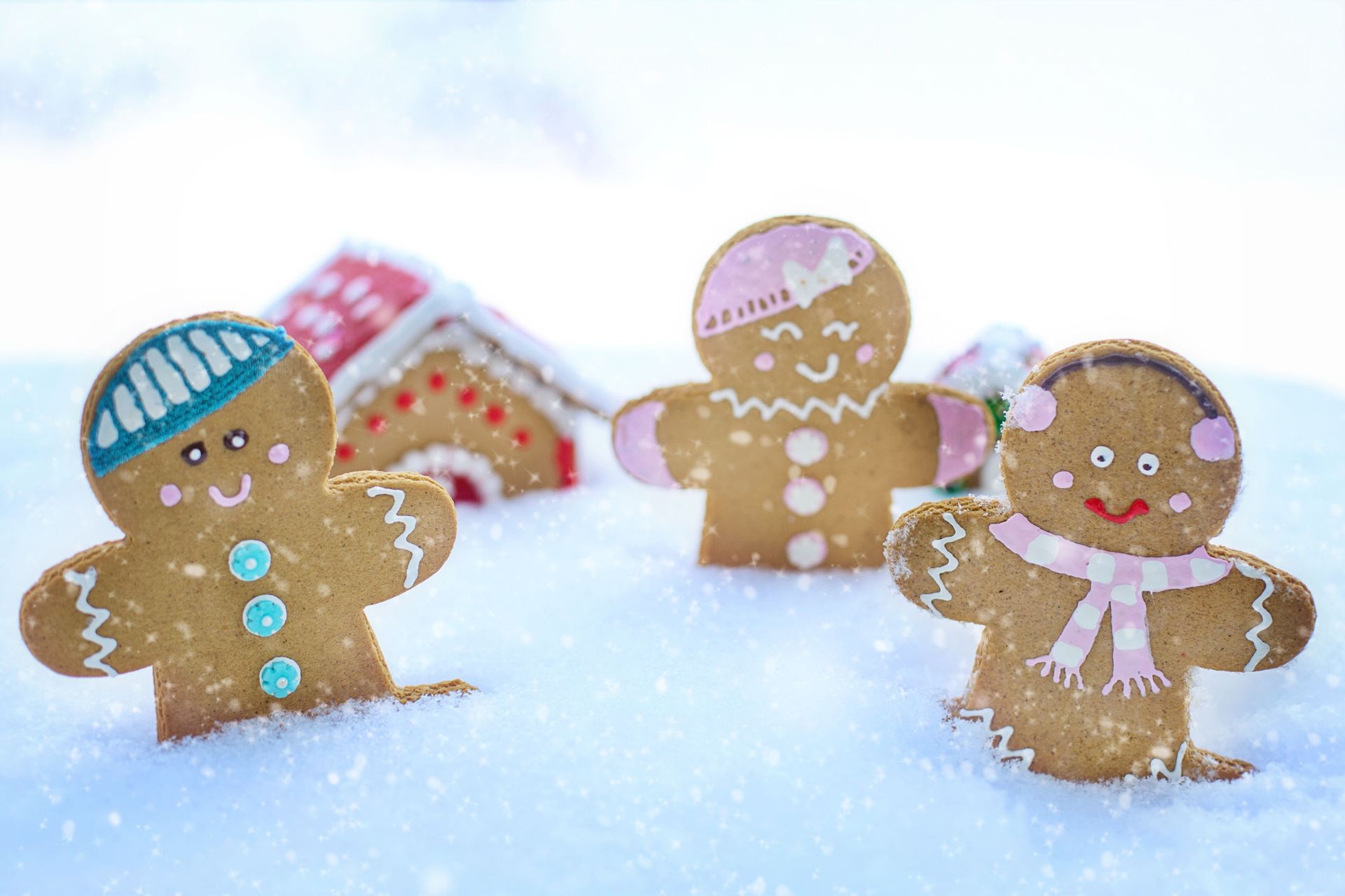 Gingerbread Sponsorship
