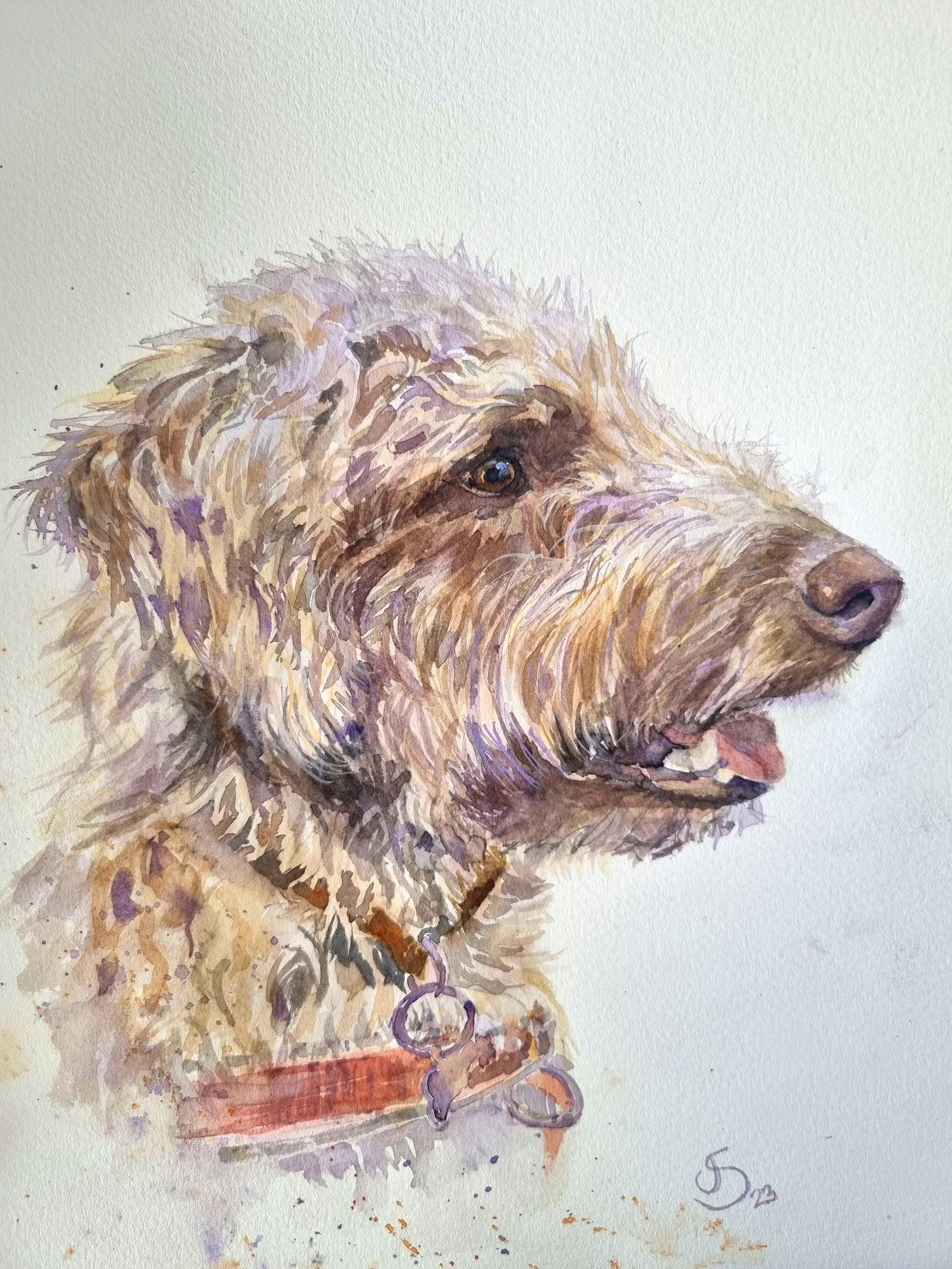 Watercolour of a lurcher.